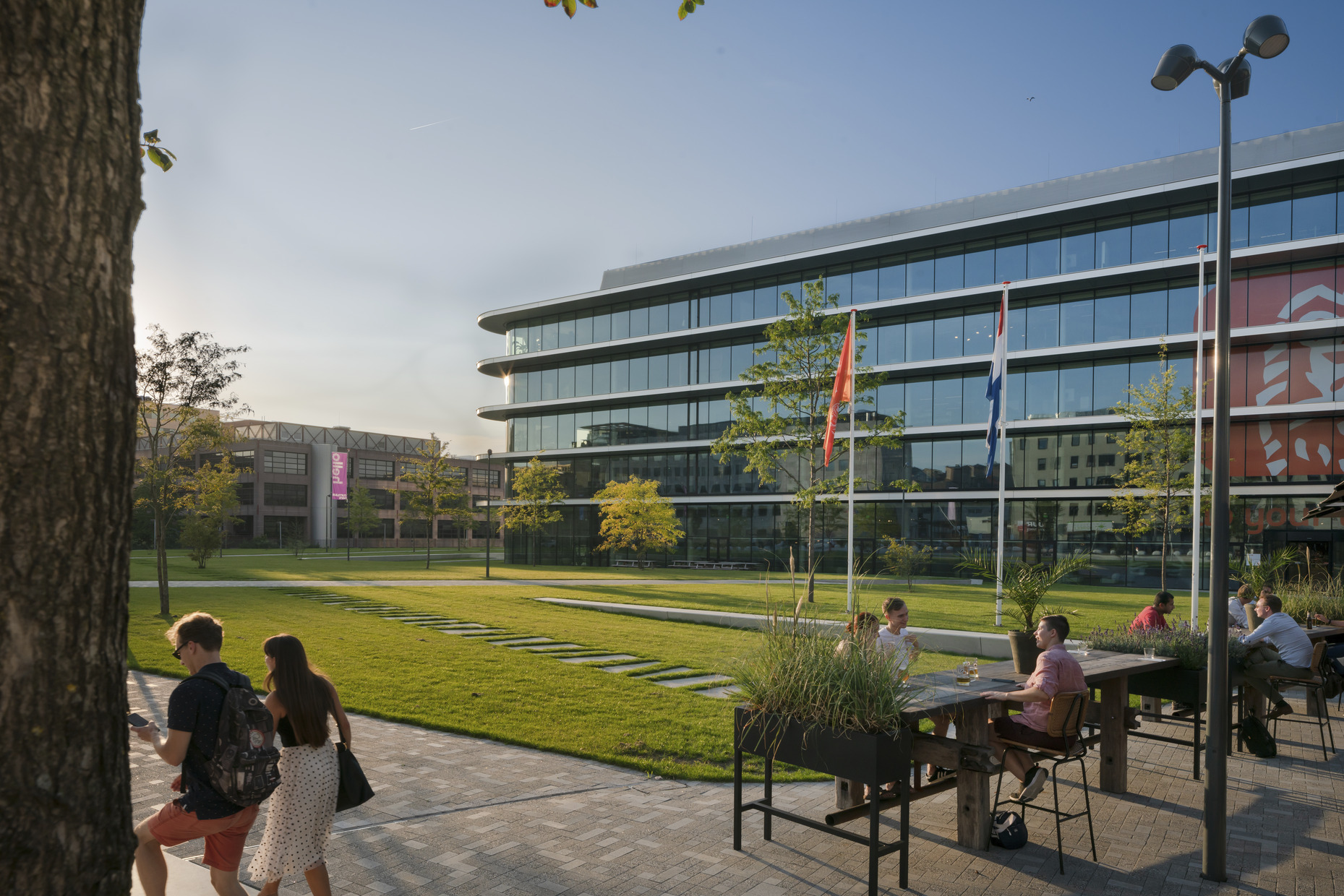 Head Office ING 5
